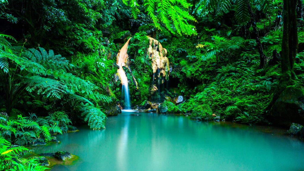 Come indica il nome, questa è stata la terza isola dell’arcipelago delle Azzorre ad essere scoperta. Quello che rende speciale l’isola di Terceira è lo straordinario contrasto fra la bellezza naturale dell’isola vulcanica e l’ammirevole opera dell’uomo nel centro storico di Angra do Heroísmo, la capitale, classificata Patrimonio Mondiale dall’UNESCO. La natura è lo spettacolo più magico che le Azzorre e Terceira offrono, l’area di Serreta è la zona occidentale dell’isola, verdissima, profumata, ricca di vegetazione autoctona con un’esplosione di fiori e di alberi da lasciare senza fiato. Qui avrete la possibilità di fare un viaggio tra natura selvaggia, vulcani, grotte e balene, nel cuore dell’oceano Atlantico, alla scoperta di un paradiso naturale. Vi sembrerà di vivere un sogno in un paesaggio fiabesco!